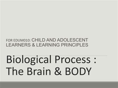 Image result for Example of Biological Process