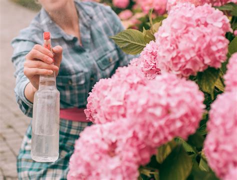 How To Plant Bulbs - Backyard Boss