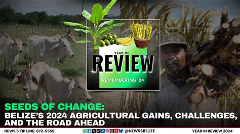 Seeds of Change: Belize’s 2024 Agricultural Gains, Challenges, and the Road Ahead | Greater ...