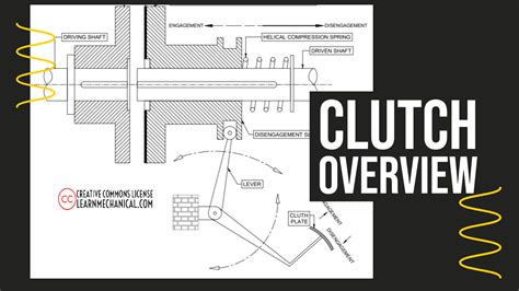 Clutch Definition Animal at Shawn Rooks blog