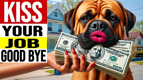 Flip Man Cancel Contract 的图像结果