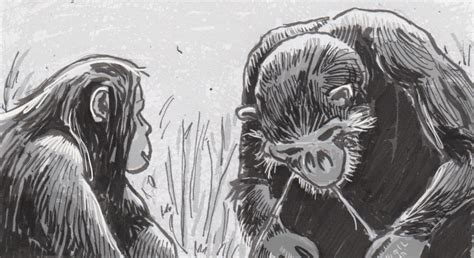 Image result for Chimps Using Sticks for Tools