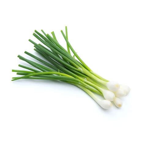 Spring Onion - Gabbar Farms