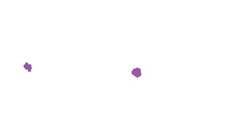 Accurate Nevus Shapes - Dataset Ninja