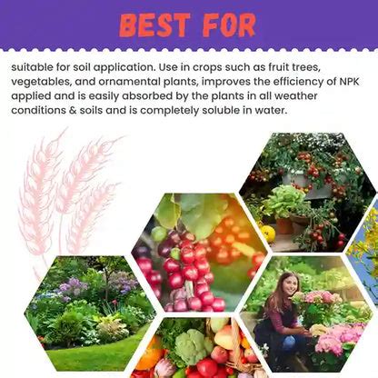 Buy Chelated Zinc EDTA 12% Fertilizer | Best Price Online