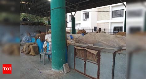 Vegitable Market or Graveyard? - Times of India
