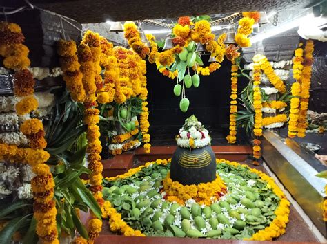 Maharashtra: ‘Har Har Mahadev’ Chants Reverberate In Aundha Nagnath On ...