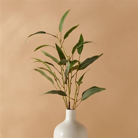 Buy Botanical Artificial Eucalyptus Branch - 70cm from Home Centre at ...