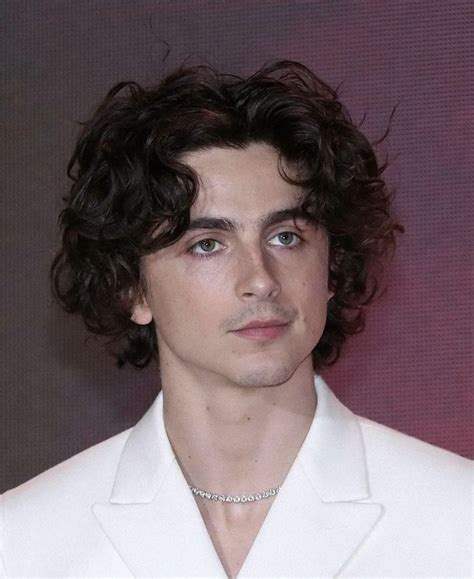 Pin by Heather on Men to Go Around | Timothee chalamet, Celebs ...