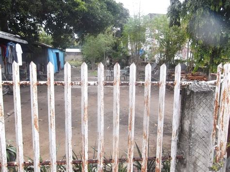 Development Land 的图像结果