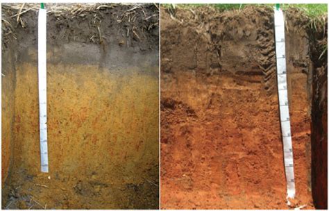 Image result for Subsoil Sampling