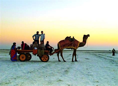 White Sand Desert : 6 Reasons for Rann of Kutch Festival