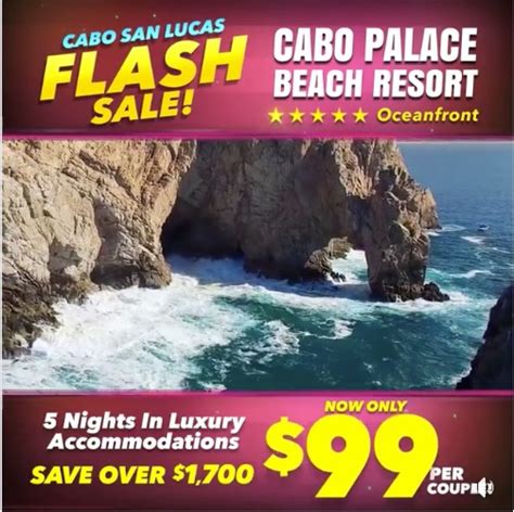 Is Book VIP a Scam 的图像结果