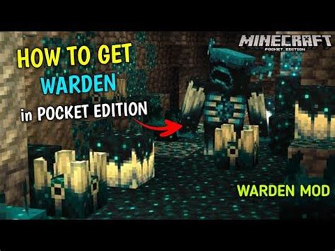 Image result for How to Spawn a Warden Java