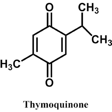 Black Seed Oil - Έλαιο Μαύρου Κύμινου Ψυχρής Έκθλιψης (~4,5 % Volatile ...