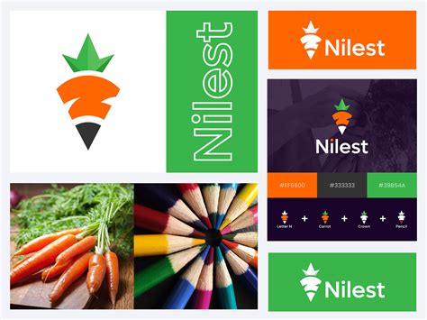 Image result for Visual Project Logo