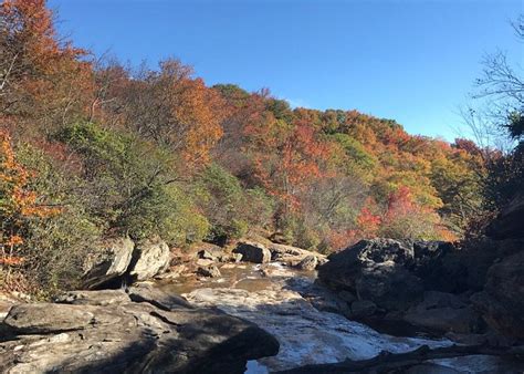 Brevard Tourism (2023): Best of Brevard, NC - Tripadvisor