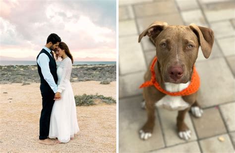 Image result for iPhone 7 Camera Tutorial