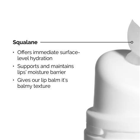 Squalane + Amino Acids Lip Balm • 15ml
