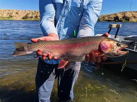 Image result for Fly Fishing Using Split Shot