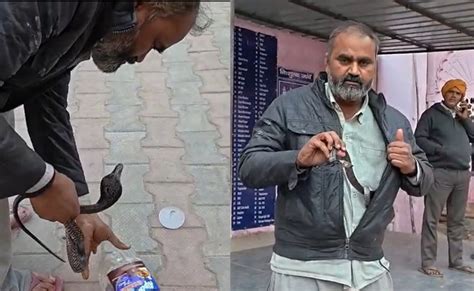 सांप ने काटा तो सांप को जैकेट में लेकर अस्पताल पहुंचा शख्स, डॉक्टरों ने ...