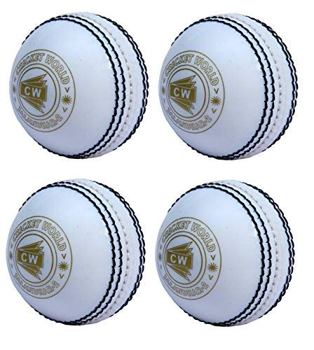 CW Spin Practice Cricket Balls Poly Soft PVC Ball Boy Adult Twin Color ...