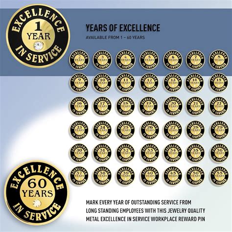 Buy PinMart Gold Plated Excellence in Service Year Award Lapel Pin ...