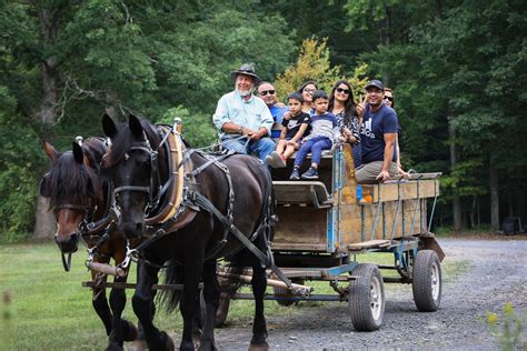 Wheel Horse Wagon at Clifford Rains blog