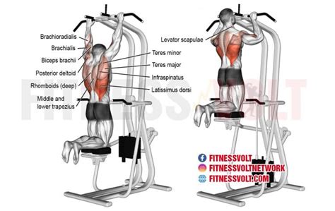 Machine-Assisted Pull-Up (Back) – Fitness Volt