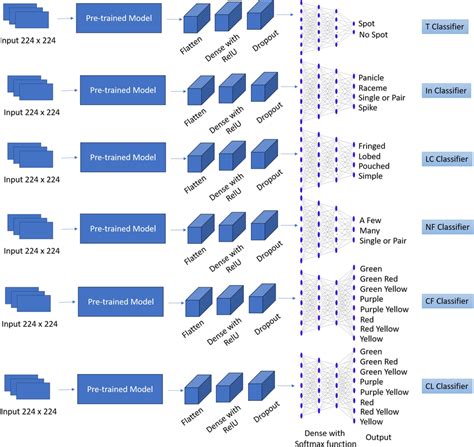 Image result for Multi-Class Images Classification without Using Framework