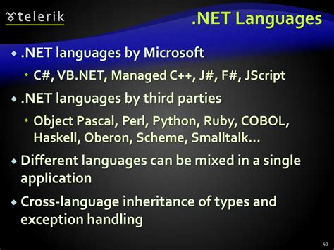 Image result for .NET Framework Programming Languages