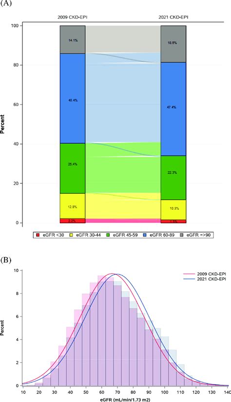 Image result for Net Filtration Rate Kidneys