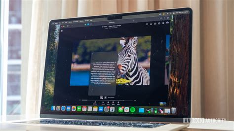 Openai Sora Prompt Engineering Examples 的图像结果