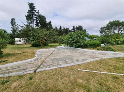 Image result for How to Bilde a Tree Nete