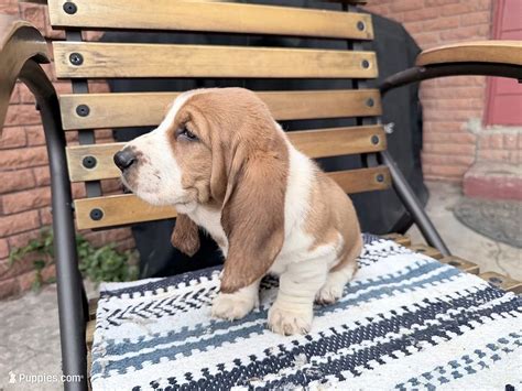 Bargain Hunters | BabyCenter