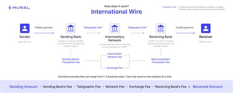 Exploring the Hidden Fees in International Wire Transfers - Mural