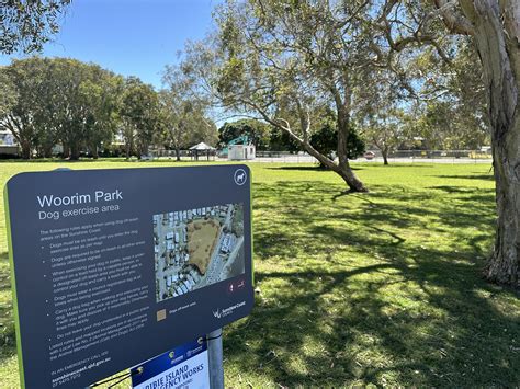 Image result for File:Map Tree