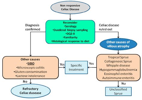 The Influence of Small Intestinal Bacterial Overgrowth in Digestive and ...