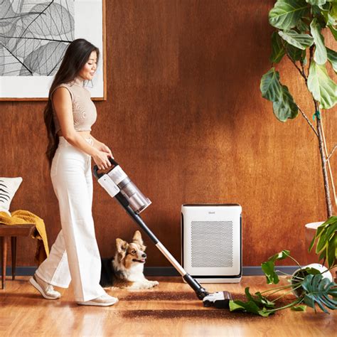 https://levoit.com/cdn/shop/files/lvac200-cordless-stick-vacuum-for-pets.png?v=1713215158&width=500