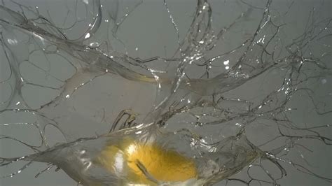 Image result for Exploding Slug Slow Motion