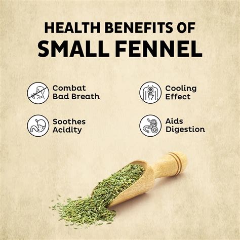 Orika Barik Saunf 100g | Lucknowi Fine Fennel Seeds