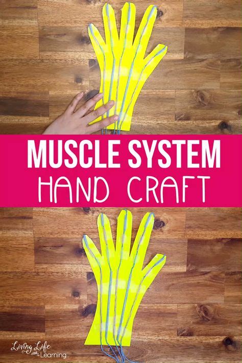 Science Crafts 的图像结果