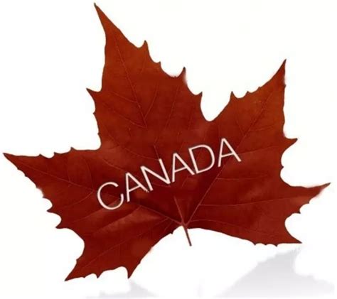 加拿大留学最好就业的10个专业，有没有你想读的?-全球留学网