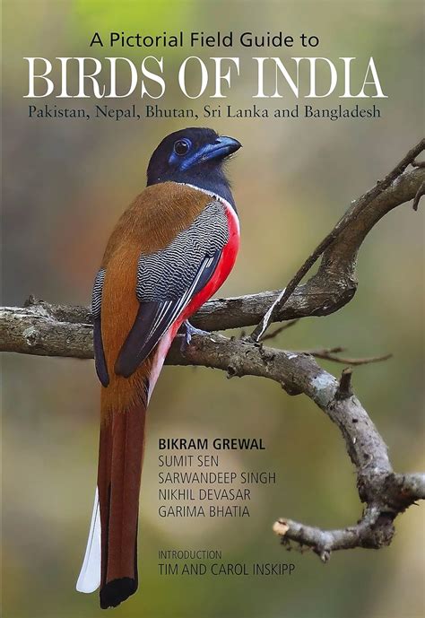 Birds of India - A Pictorial Field Guide : Bikram Grewal, Sumit Sen ...