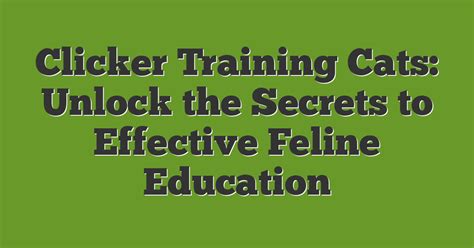 Image result for Clicker Training Cats