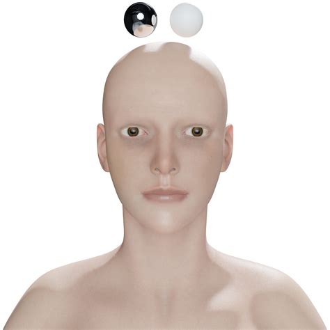 MB Lab Blender Character Types 的图像结果