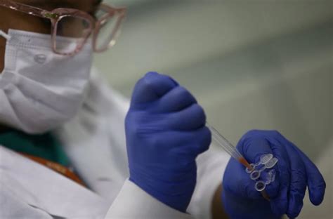 Scientists Develop Pit Viper Antivenom Using Compounds From Fruits And ...