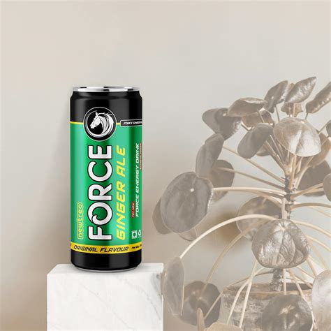 Newtreo Force Ginger Ale | Premium Ginger Ale | Natural Ginger & Lemon ...