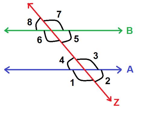 Image result for Transversal Diagonal