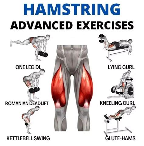 Hamstring Exercises At The Gym | Hamstring workout, Hamstrings, Better posture